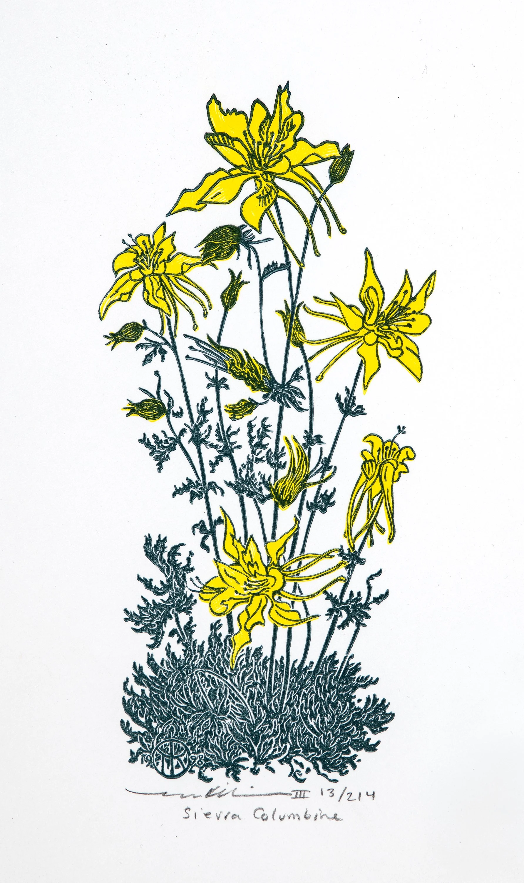 Sierra+Columbine+3+(W).jpg?